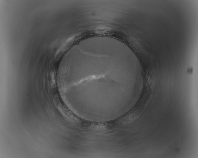 X0000111481106200907281156