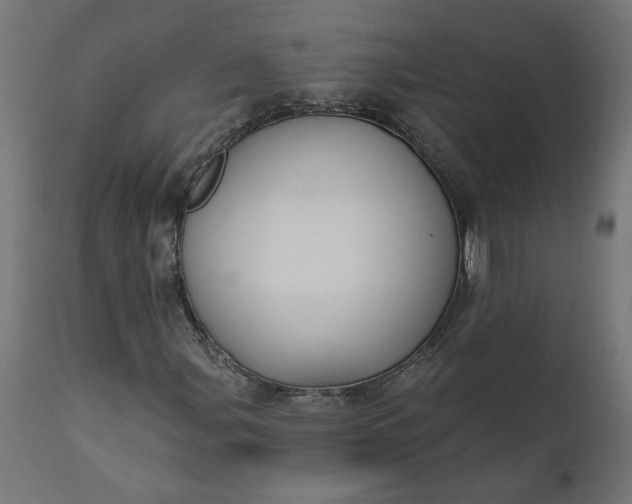 X0000111481107200907281156