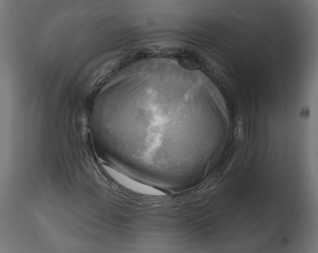 X0000111481108200907281156