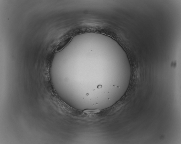 X0000111481109200907281156