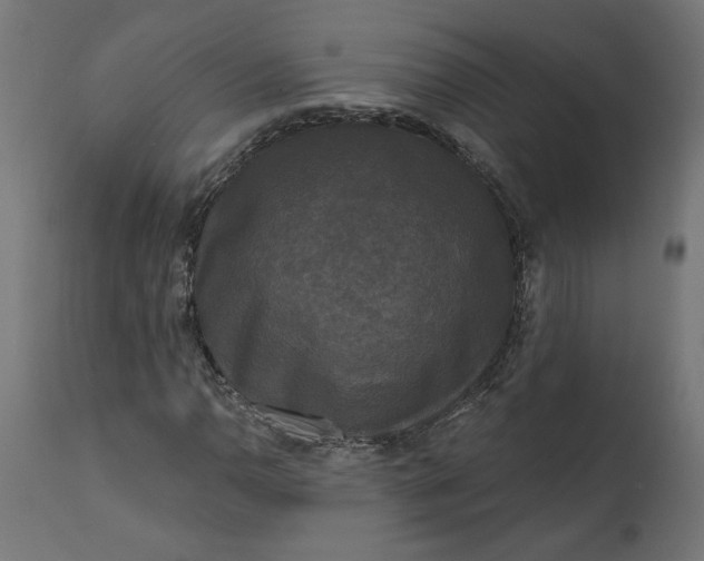 X0000111481110200907281156