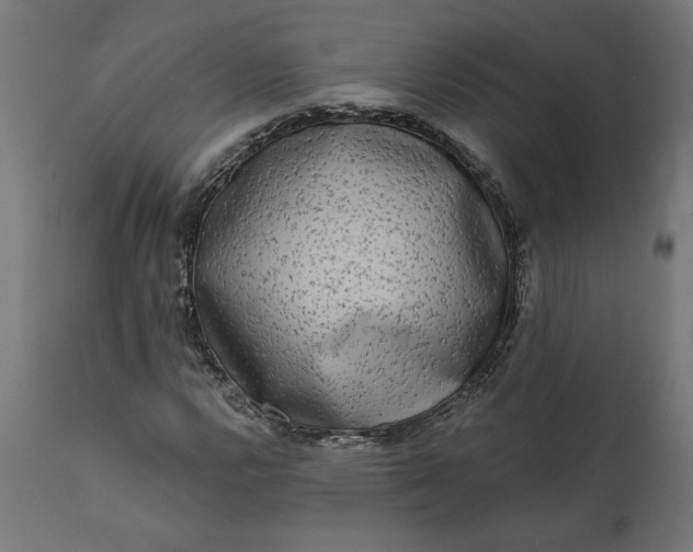 X0000111481112200907281156