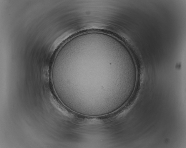 X0000111481113200907281156