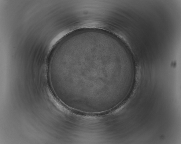 X0000111481114200907281156