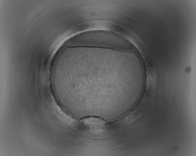 X0000111481116200907281156