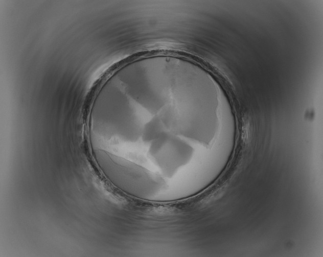 X0000111481117200907281156