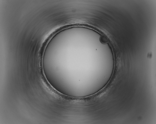 X0000111481118200907281156