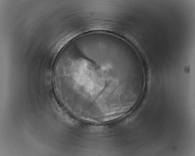 X0000111481121200907281156