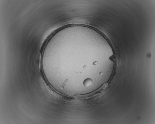 X0000111481123200907281156