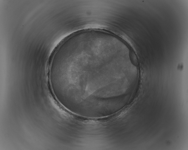 X0000111481124200907281156