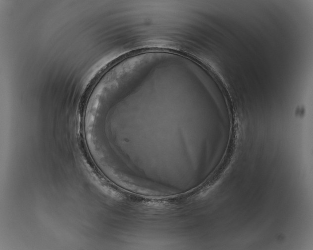 X0000111481125200907281156