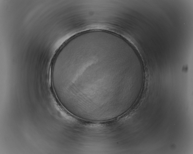 X0000111481127200907281156