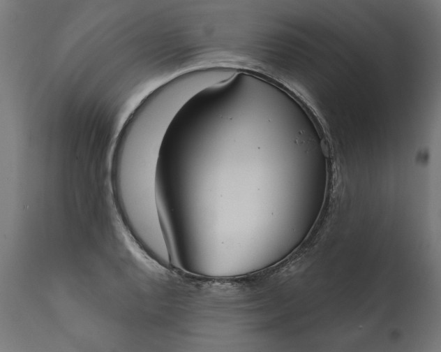 X0000111481128200907281156