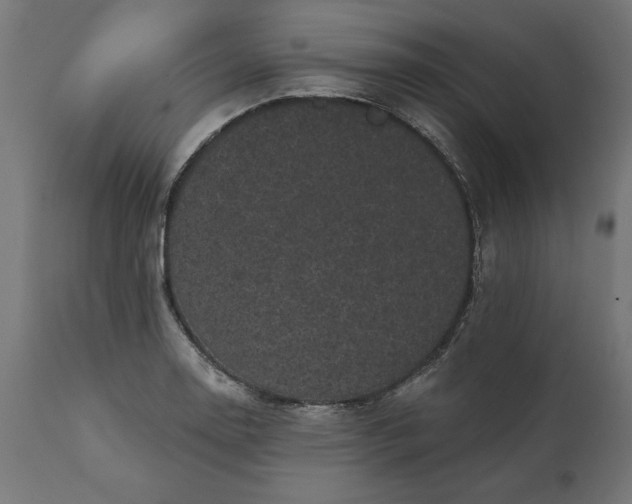 X0000111481130200907281156
