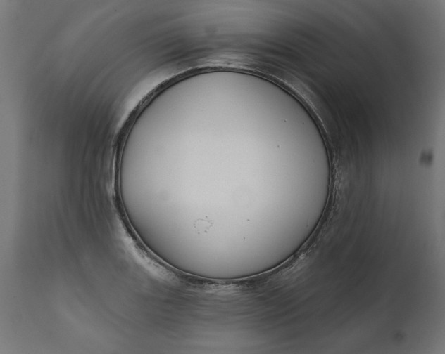 X0000111481131200907281156