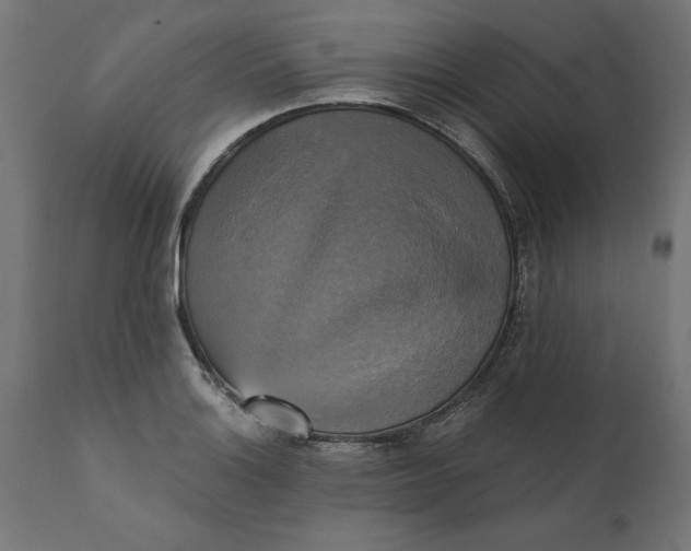 X0000111481132200907281156