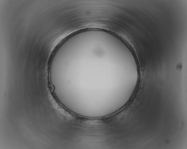X0000111481133200907281156