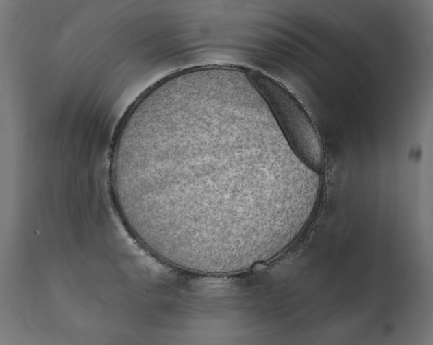 X0000111481134200907281156