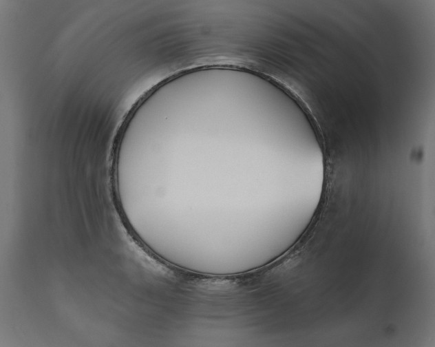 X0000111481135200907281156