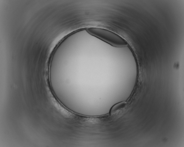 X0000111481136200907281156