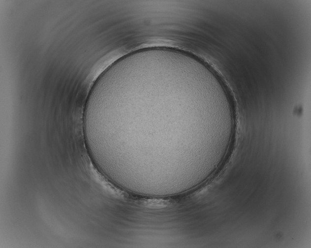 X0000111481137200907281156