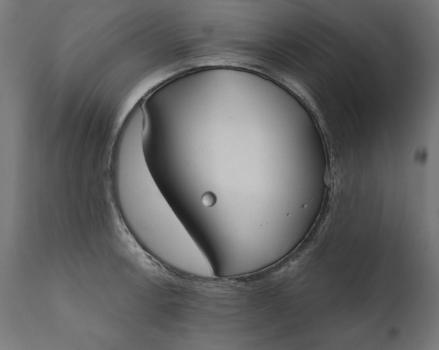 X0000111481138200907281156