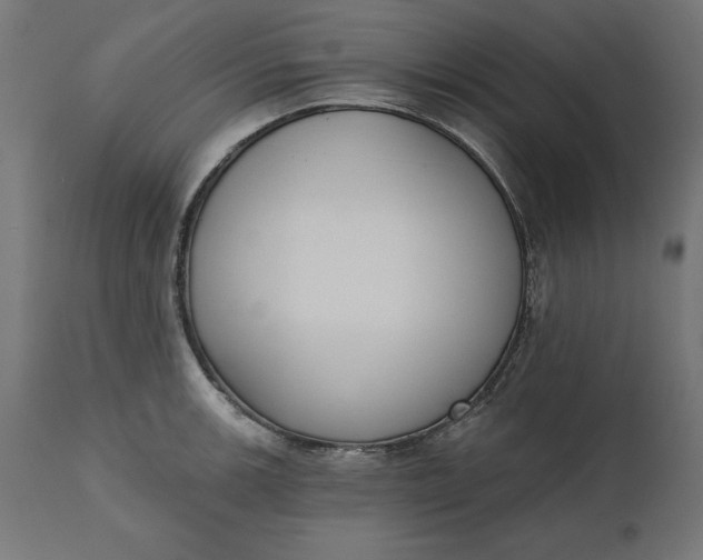 X0000111481139200907281156