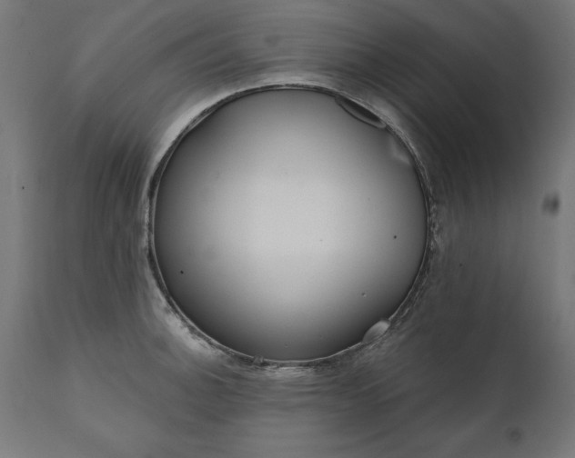 X0000111481140200907281156