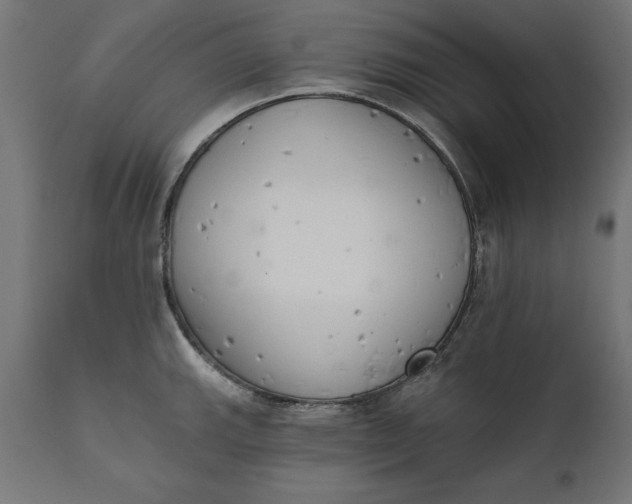 X0000111481143200907281156