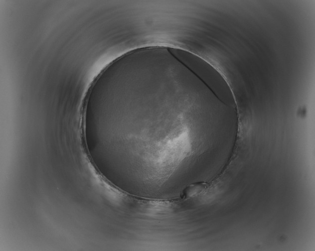 X0000111481144200907281156