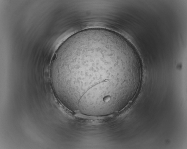 X0000111481145200907281156