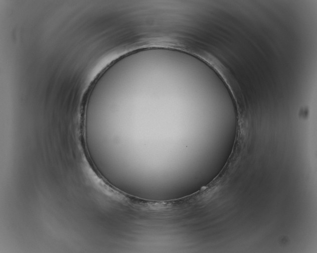 X0000111481147200907281156