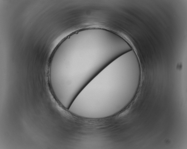 X0000111481149200907281156