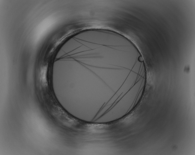 X0000111481150200907281156