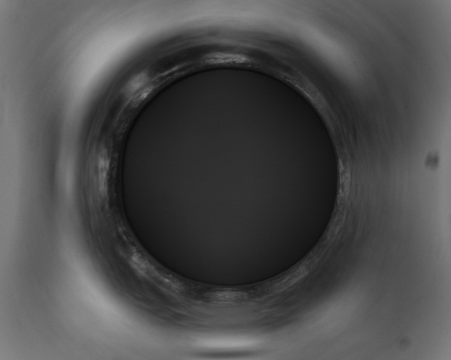 X0000111481151200907281156