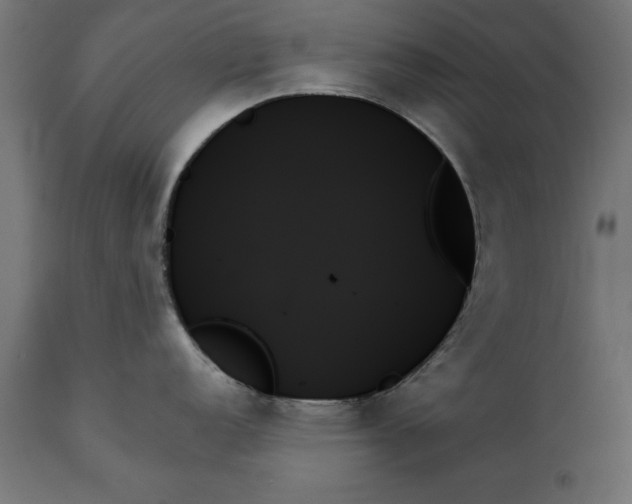 X0000111481152200907281156