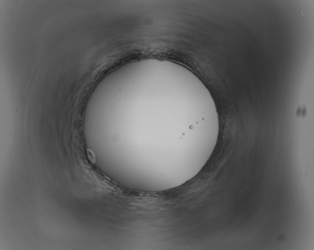 X0000111481153200907281156