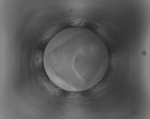 X0000111481154200907281156