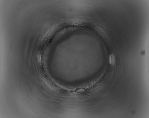 X0000111481155200907281156