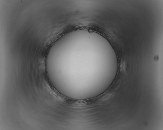 X0000111481156200907281156