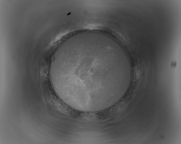 X0000111481158200907281156
