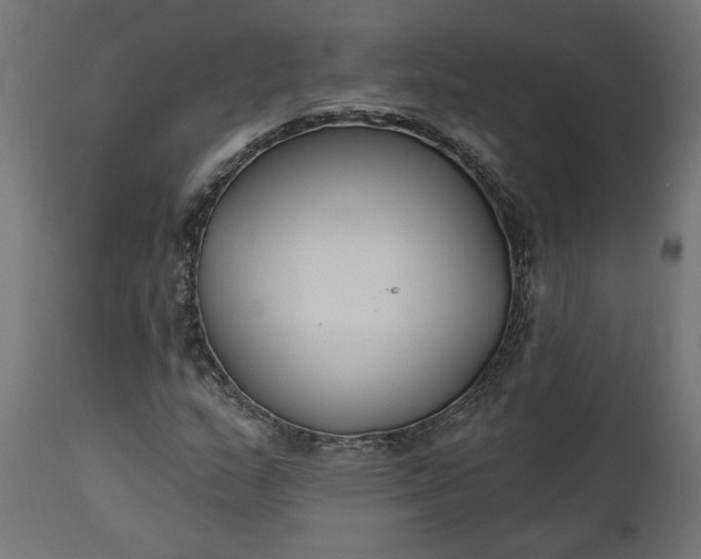 X0000111481159200907281156