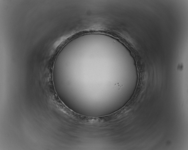 X0000111481160200907281156