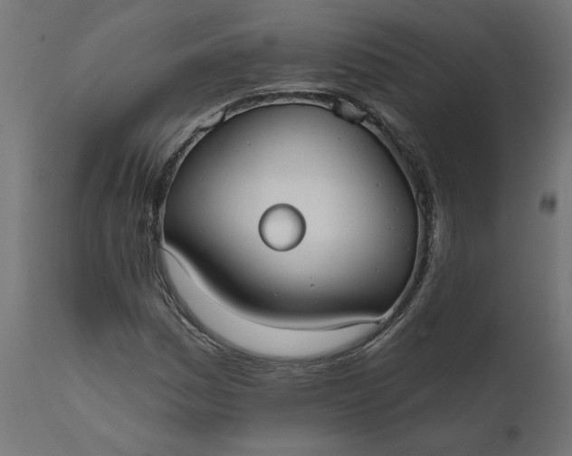 X0000111481161200907281156