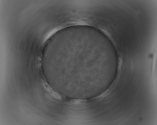 X0000111481163200907281156