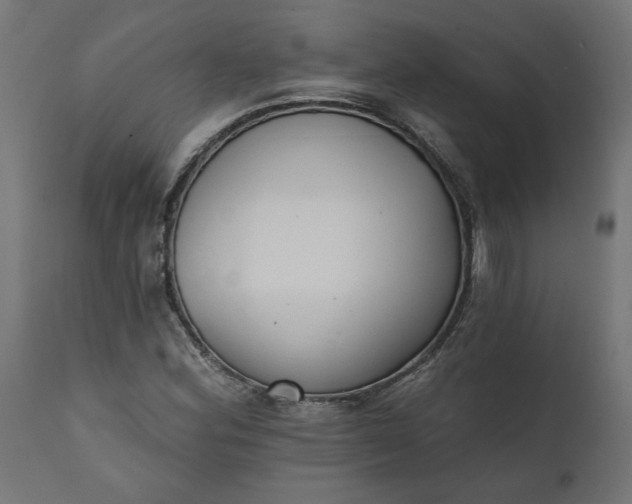 X0000111481164200907281156