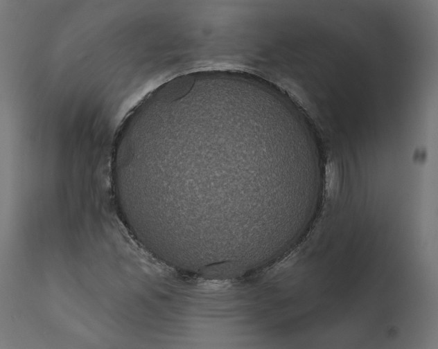 X0000111481165200907281156