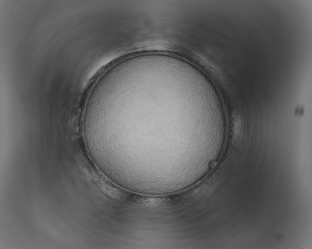 X0000111481166200907281156