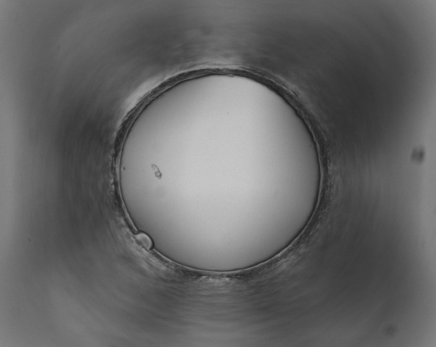 X0000111481168200907281156