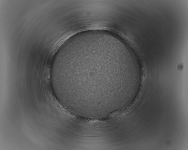 X0000111481169200907281156